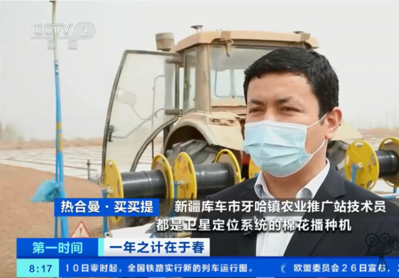 棉花种植|新疆阿克苏710万亩棉花开播 机械化采收面积可达530万亩以上