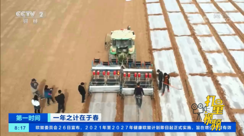 棉花种植|新疆阿克苏710万亩棉花开播 机械化采收面积可达530万亩以上