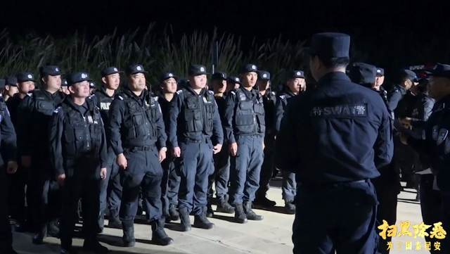 涉黑|触目惊心！海南三任公安局长收受贿赂成黑伞，黑恶势力团伙影响恶劣