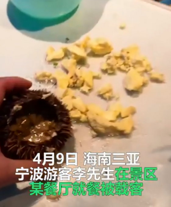 冯飞|花2600元吃海鲜后报警？海南省长冯飞主动回应“三亚海胆”事件：将深入调查