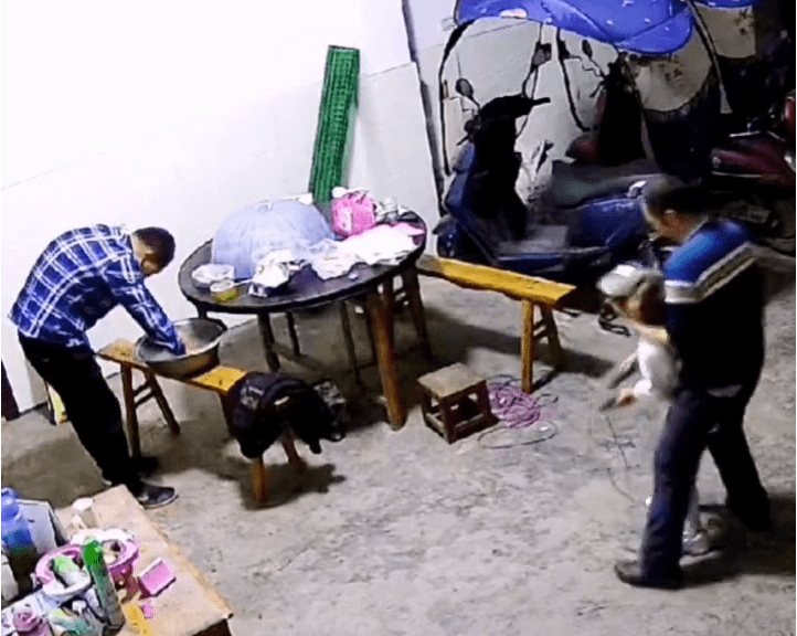 爷爷|爷爷狂风暴雨般给孙女洗脸 网友笑翻：给孩子整懵了