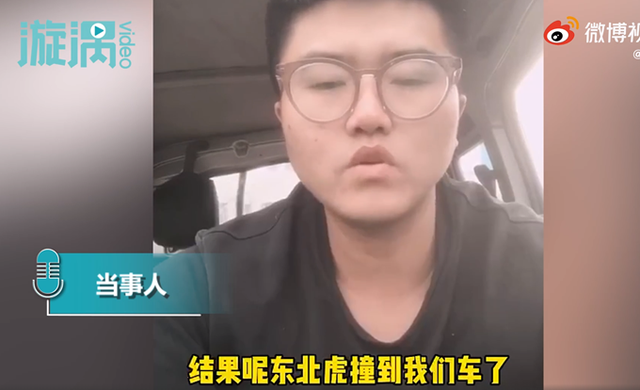 车窗|真的非常害怕！东北虎拍碎车窗亲历者发声，网友：东北虎太猛了