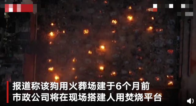 印度媒体|人间炼狱！火葬场严重短缺，印度德里将狗用火葬场改为人用