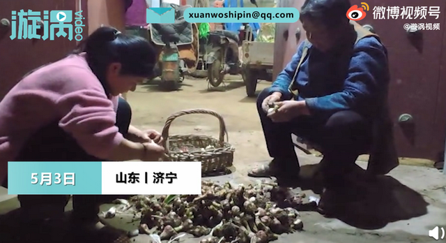 妈妈|女儿五一返程妈妈送40斤大蒜 一点一滴都是无尽的不舍和牵挂