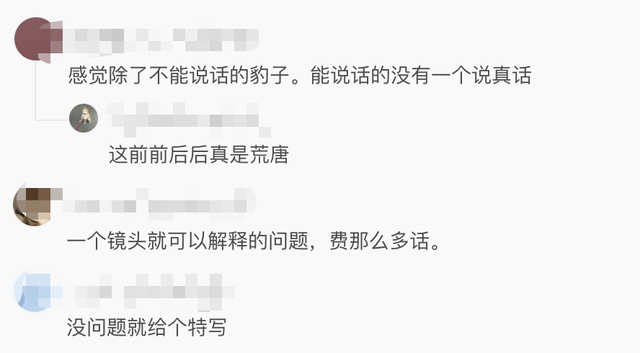 金钱豹|专家判断第3只豹子或已死亡 官媒:瞒报这是吃了熊心豹子胆?!