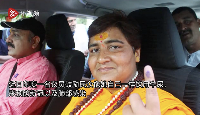 议员|鼓励民众饮用牛尿!印度议员称每天喝牛尿,所以没得新冠