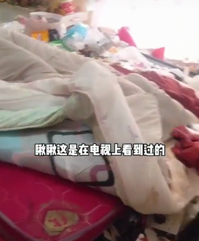租客|黑龙江女租客屋内垃圾成山 房东气炸称老鼠进屋都要开导航