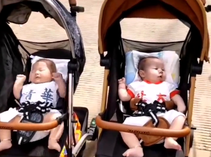 北大|双胞胎宝宝穿“清华北大”送考 最小送考人萌翻全场