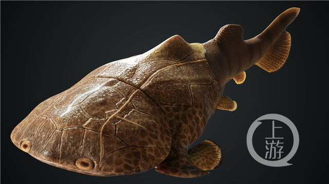 边城|重庆发现4.23亿年前袖珍边城鱼 为人类的演化提供重要化石实证