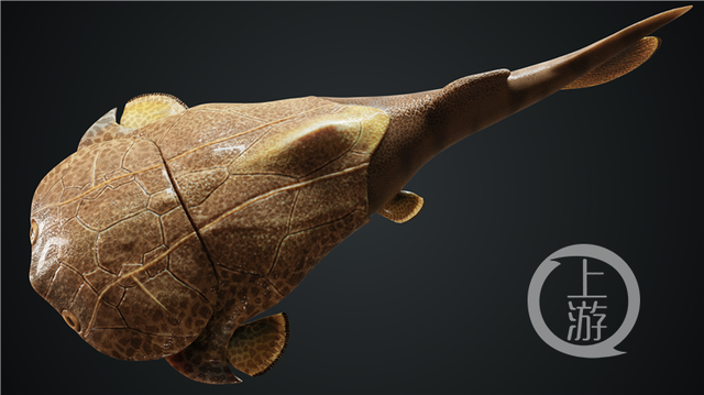 边城|重庆发现4.23亿年前袖珍边城鱼 为人类的演化提供重要化石实证