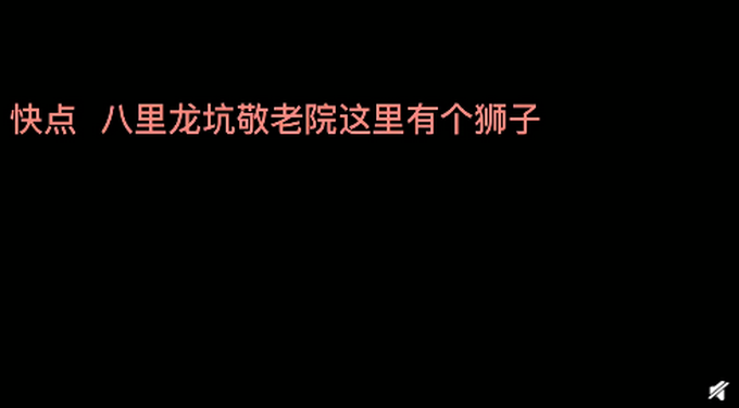 委屈|笑喷！市民将剃过毛的狗误认成狮子报警，网友调侃：狗子好“委屈”