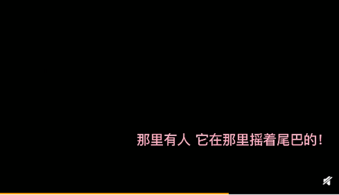 委屈|笑喷！市民将剃过毛的狗误认成狮子报警，网友调侃：狗子好“委屈”