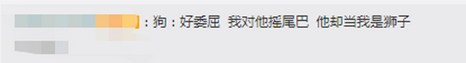 委屈|笑喷！市民将剃过毛的狗误认成狮子报警，网友调侃：狗子好“委屈”