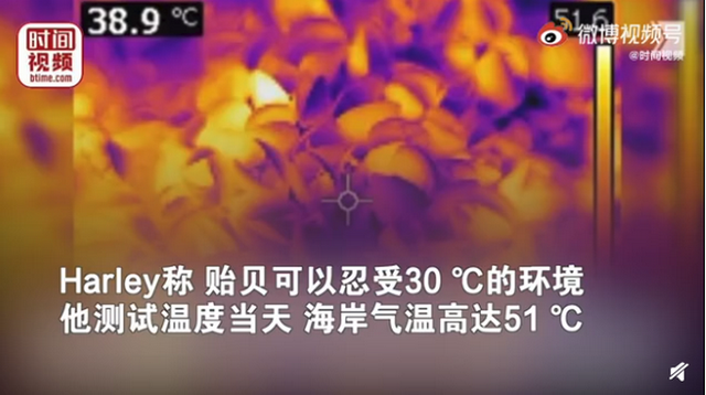 高温天气|人间炼狱！科威特73度高温把汽车烤化 街头空无一人&nbsp;