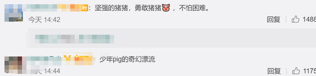 猪坚强|又见"猪坚强" 河南两小猪洪水中漂流17天获救 网友心疼