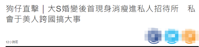 婚变|现身私人会所！大S婚变风波后首露面，与友人聊天心情佳