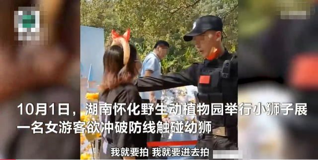 保安|保安上前劝阻反遭辱骂！怀化一游客执意接触幼狮，致展出被迫结束