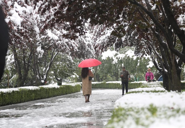 张北草原|受强冷空气影响，全国多地迎入秋后首场降雪