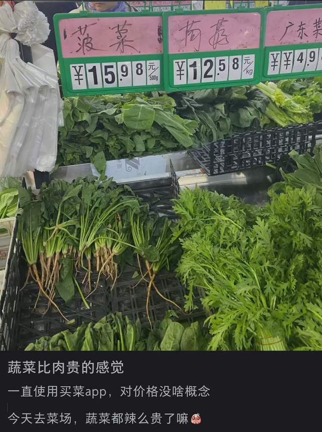 菠菜|一斤菠菜抵两斤猪肉 菜比肉贵到底是为什么?