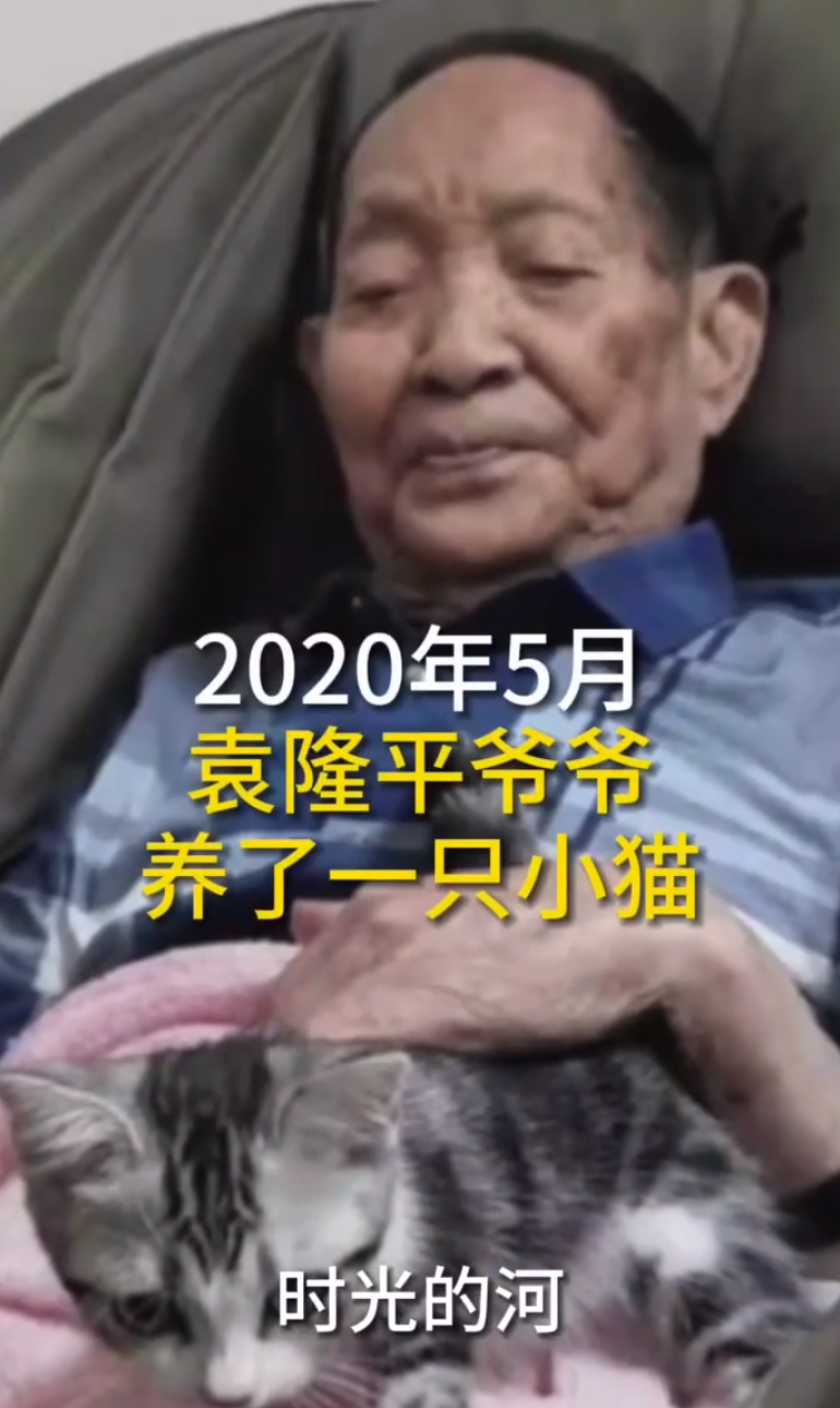 亩产|袁隆平的猫还在等他回家 如今＂花花＂长大了,水稻产量也屡创新高