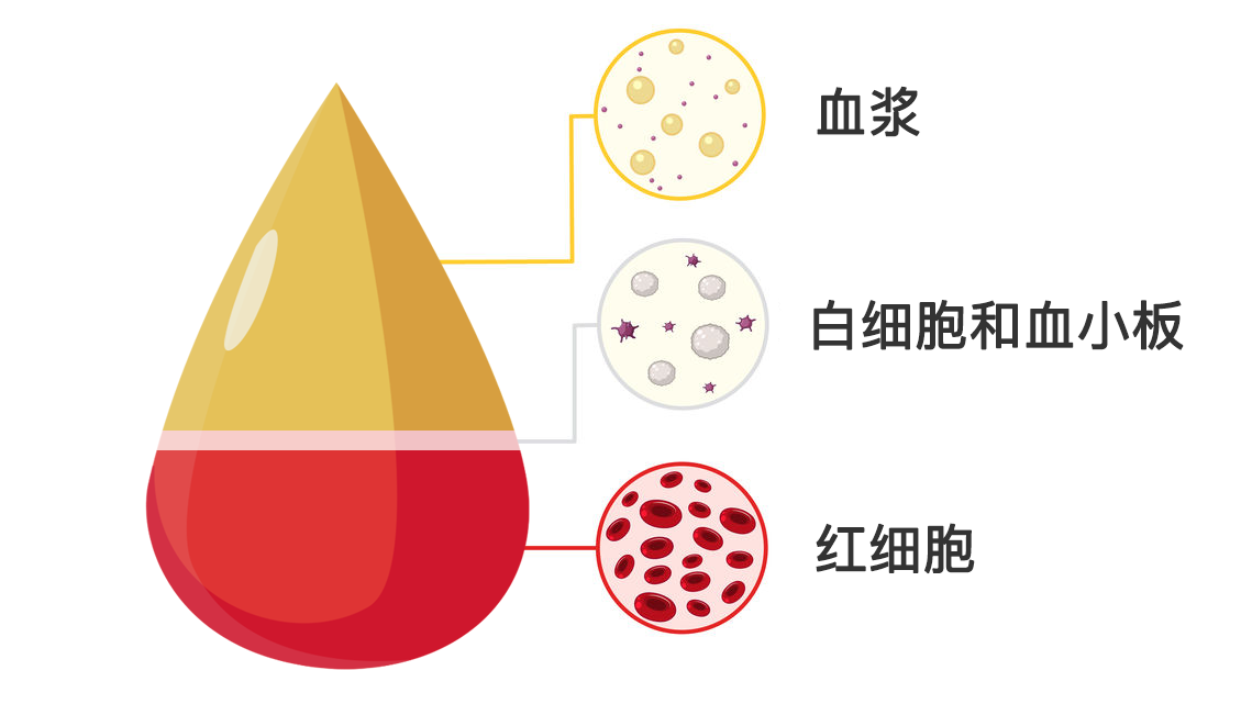 https://p4.img.cctvpic.com/photoworkspace/contentimg/2025/06/12/2025061212055418762.png