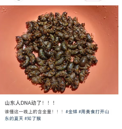 https://p4.img.cctvpic.com/photoworkspace/contentimg/2025/07/18/2025071814040544655.png