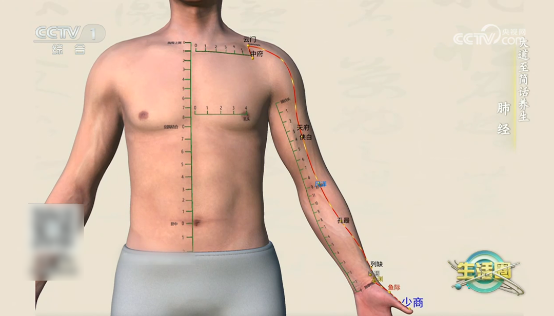 https://p3.img.cctvpic.com/photoworkspace/contentimg/2026/09/23/2026092306293699251.png